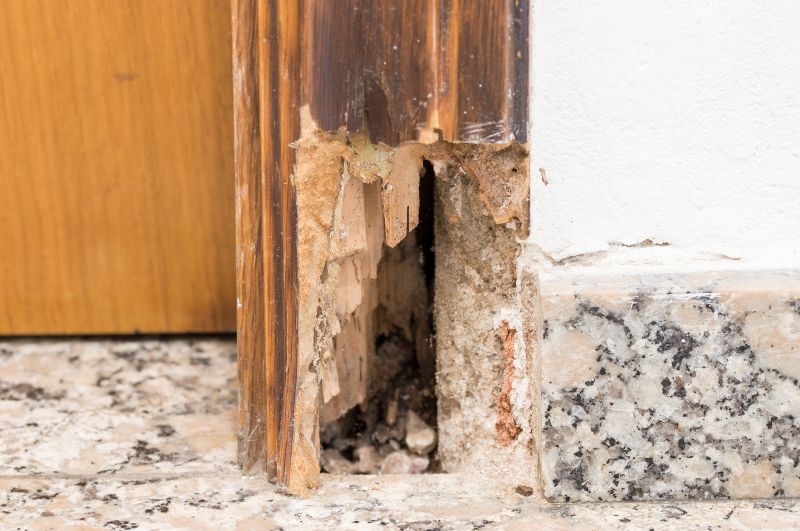 Door Frame Repair in Kansas City, KS